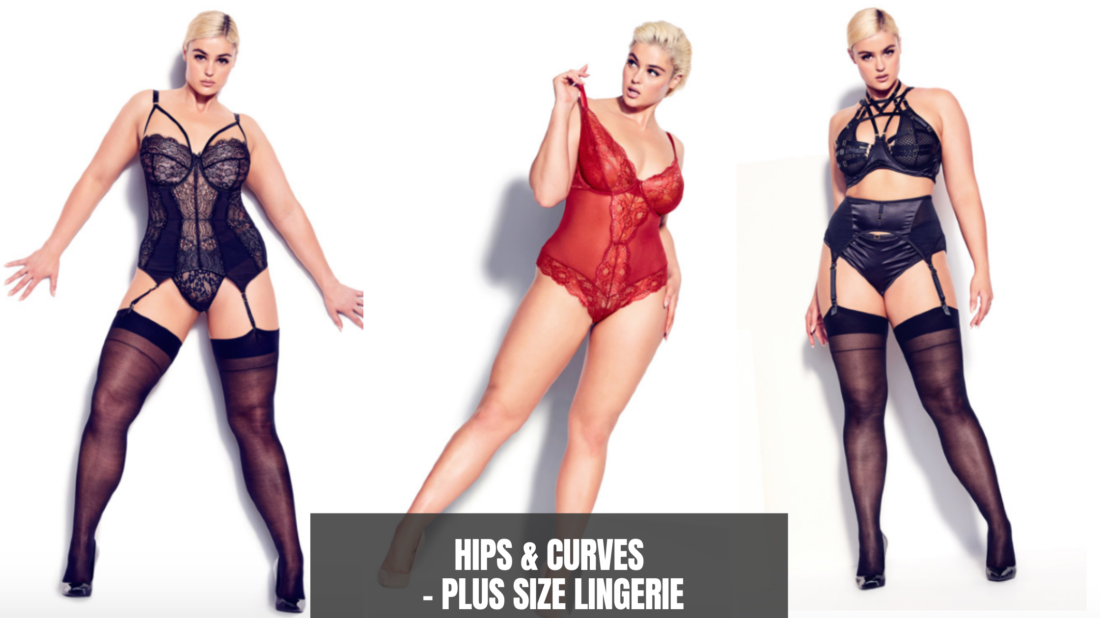 where to buy plus size lingerie - Hips & Curves