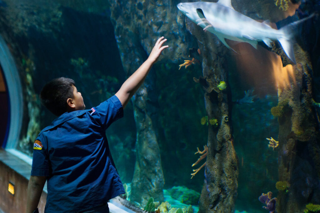 The Living Planet Aquarium tips for visiting