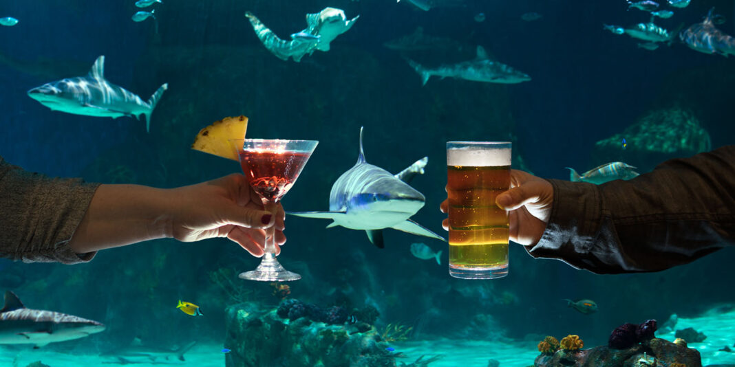 My Review - Sips UnDer The Sea ADult Night At The Aquarium Museu 1068x534