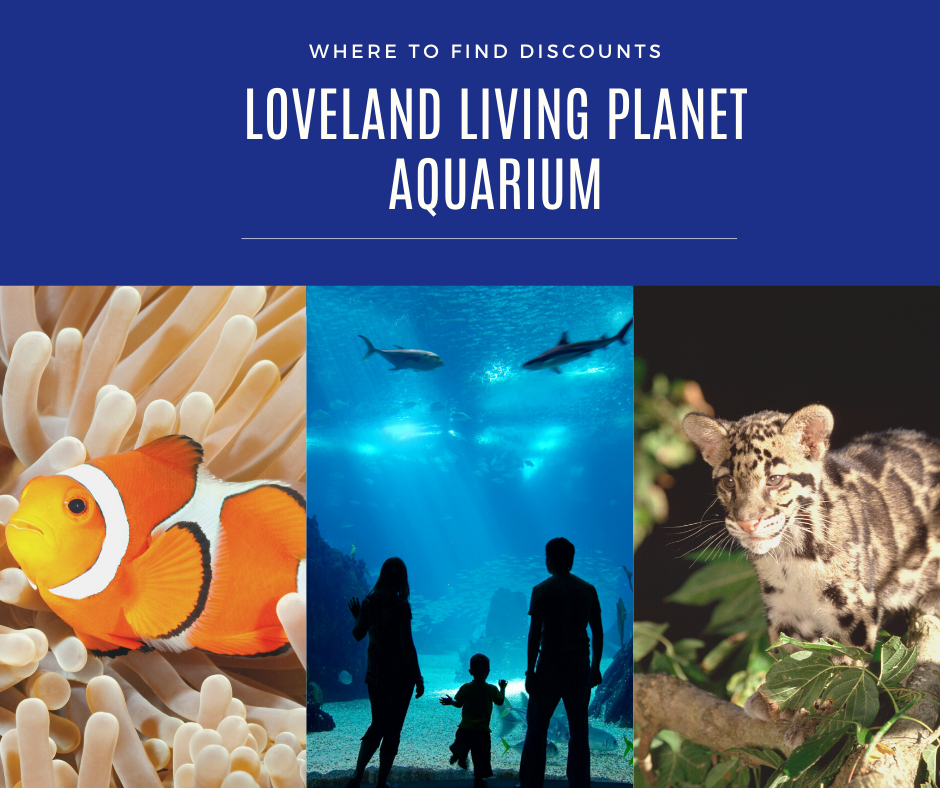 The Living Planet Aquarium tips for visiting