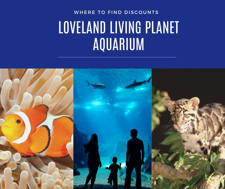 My Review - Where To FinD Discounts AnD Coupons For LovelanD Living Planet Aquarium