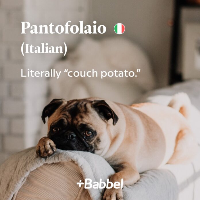 is babbel or duolingo better is babbel or duolingo better