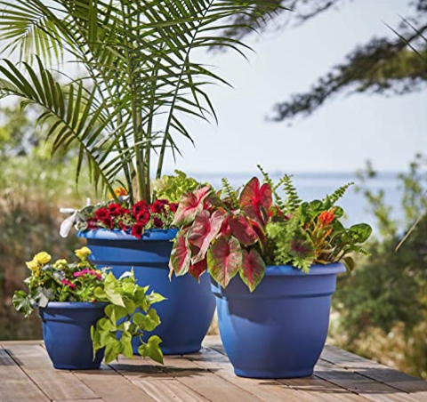 Choosing a pot for container gardening with flowers