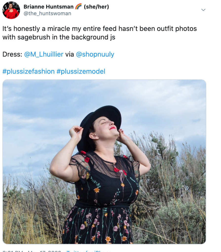 Plus Size blogger on twitter reviews ML Monique Lhuillier - Size 18