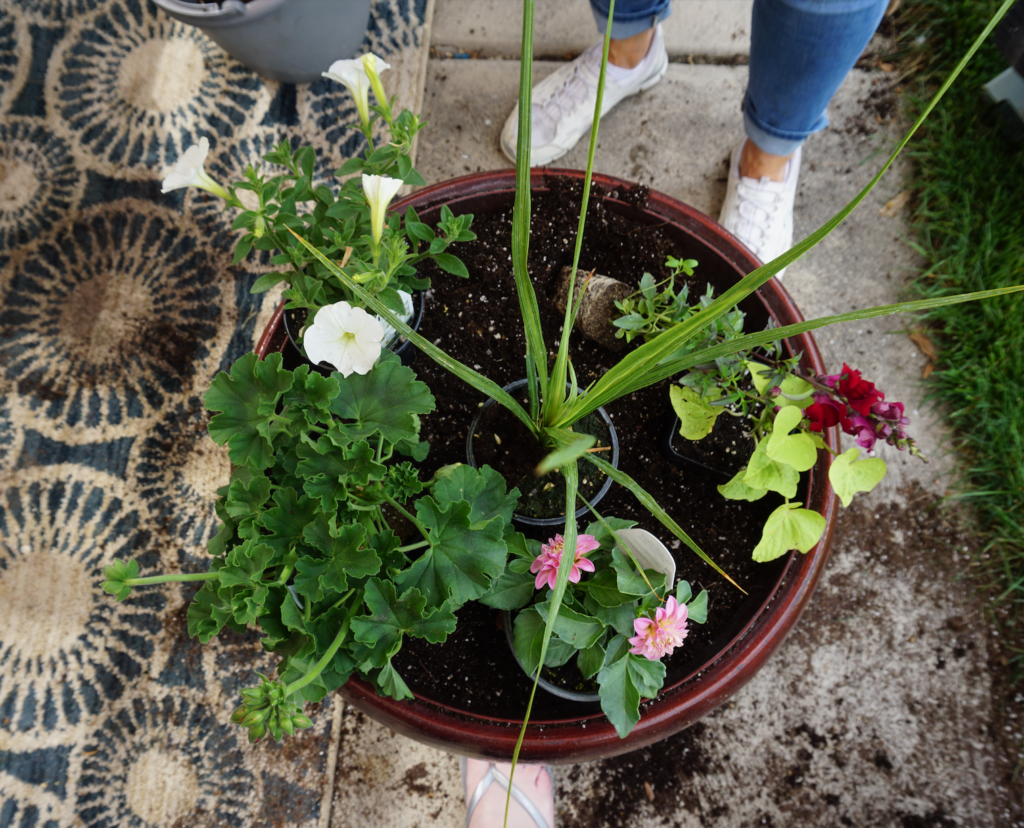 Finished flower pot container garden