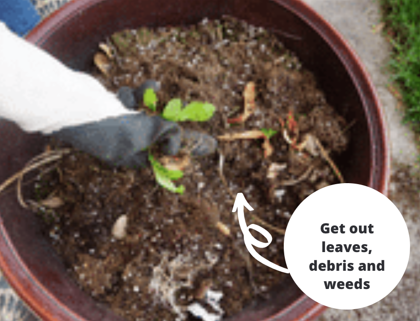 Getting flower pots ready to be used for spring - container gardening