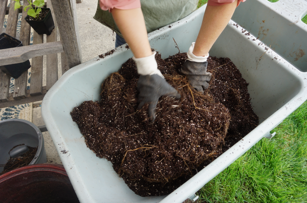 Aerating soil for container garden in large flower pot