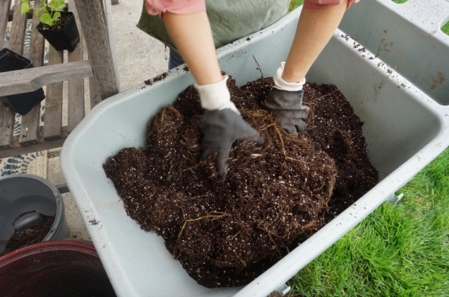 How to Guide Plant Large Outdoor Flower Pots & Containers | Mother's ...