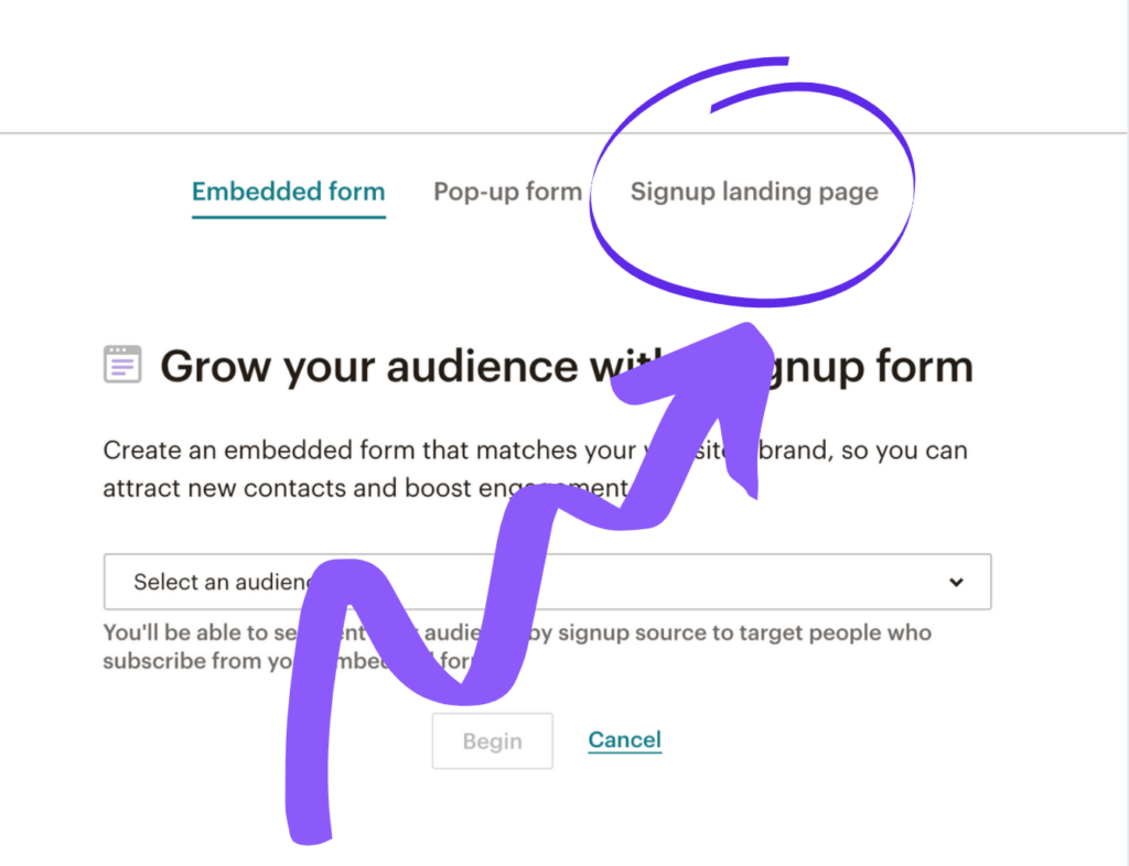 Setting up a newsletter link in MailChimp step 8