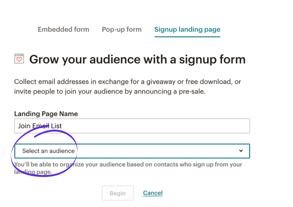 Setting up a newsletter link in MailChimp step 10