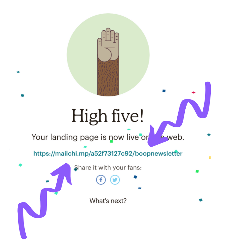 Setting up a newsletter link in MailChimp step 15