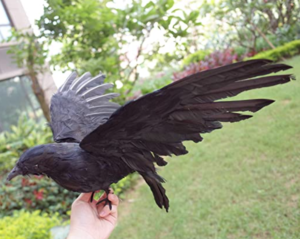 Crow prop for DIY Evil Queen Costume - Plus Size Halloween