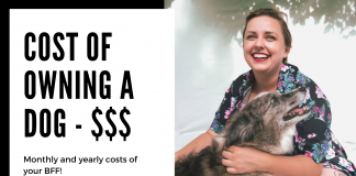 cost of owning a dog - monthly and yearly expenses