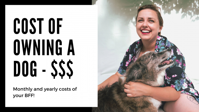 cost of owning a dog - monthly and yearly expenses