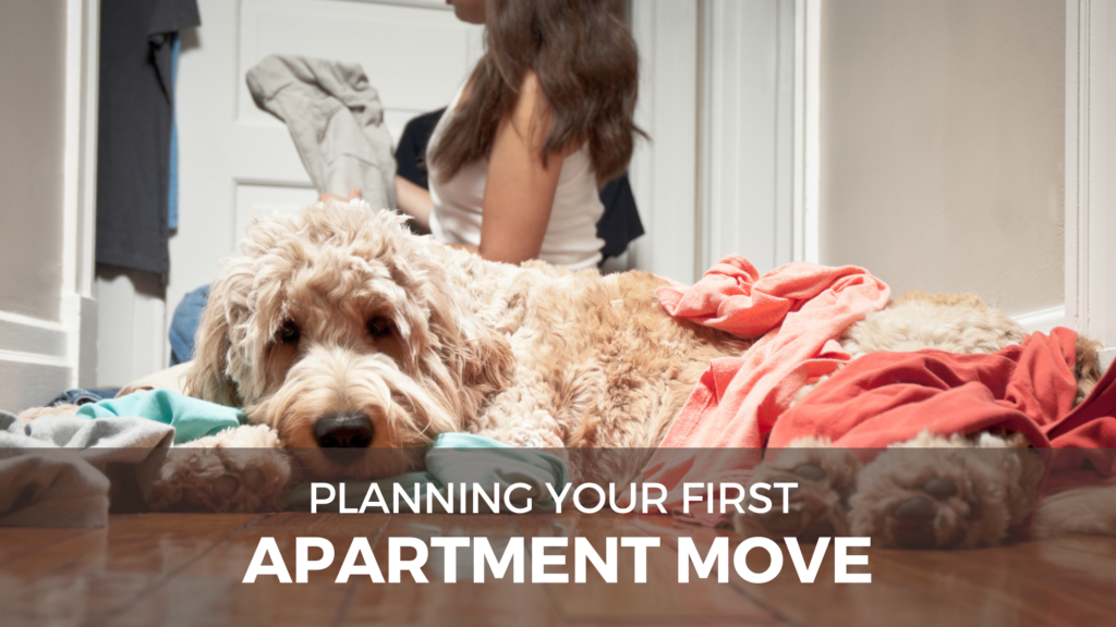 Moving Into Your First Apartment