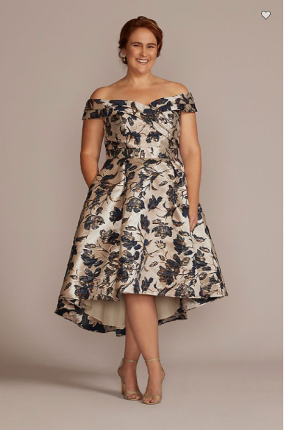 Plus Size Formal Wear for adults