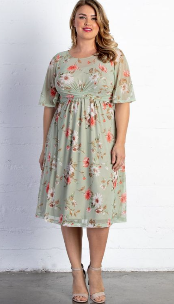 Plus Size Mother of the Bride Dresses