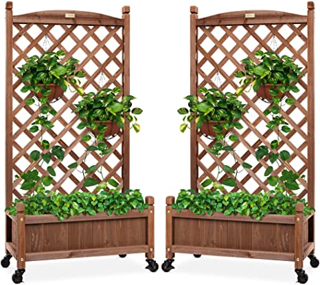  Apartment Patio Privacy Screen Idea - Outdoor Pots & Trellis