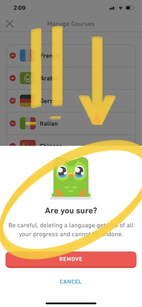 How to Start Over on Duolingo