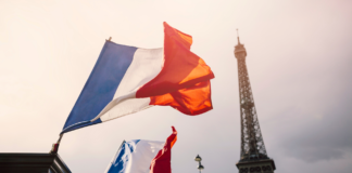 Duolingo French Tips