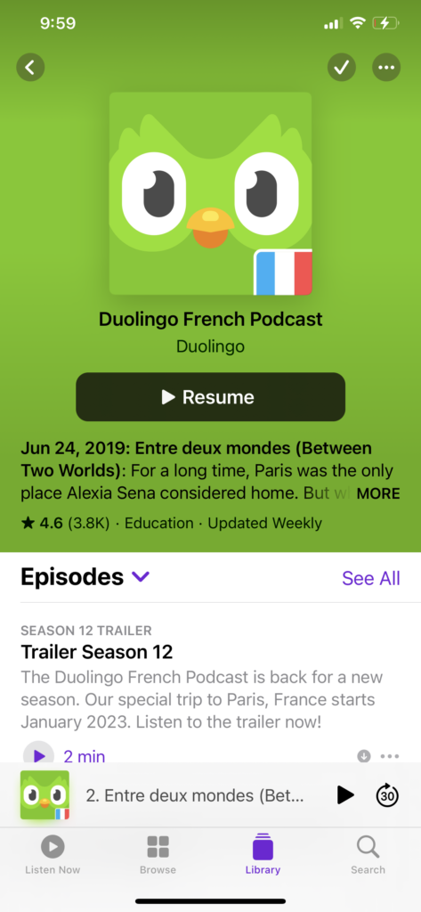 Duolingo French Tips