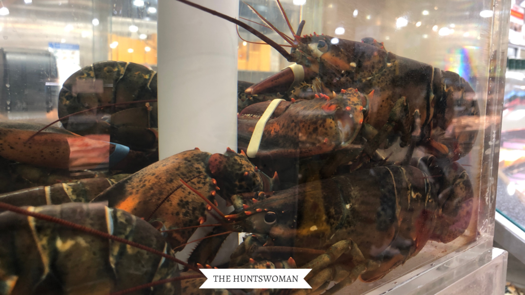 lobsters in a tank at a supermarket