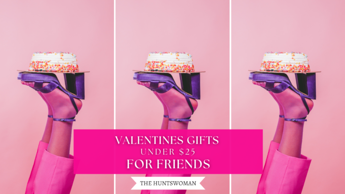 Valentines Gifts for Friends Under $25