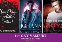 gay vampire romance novels